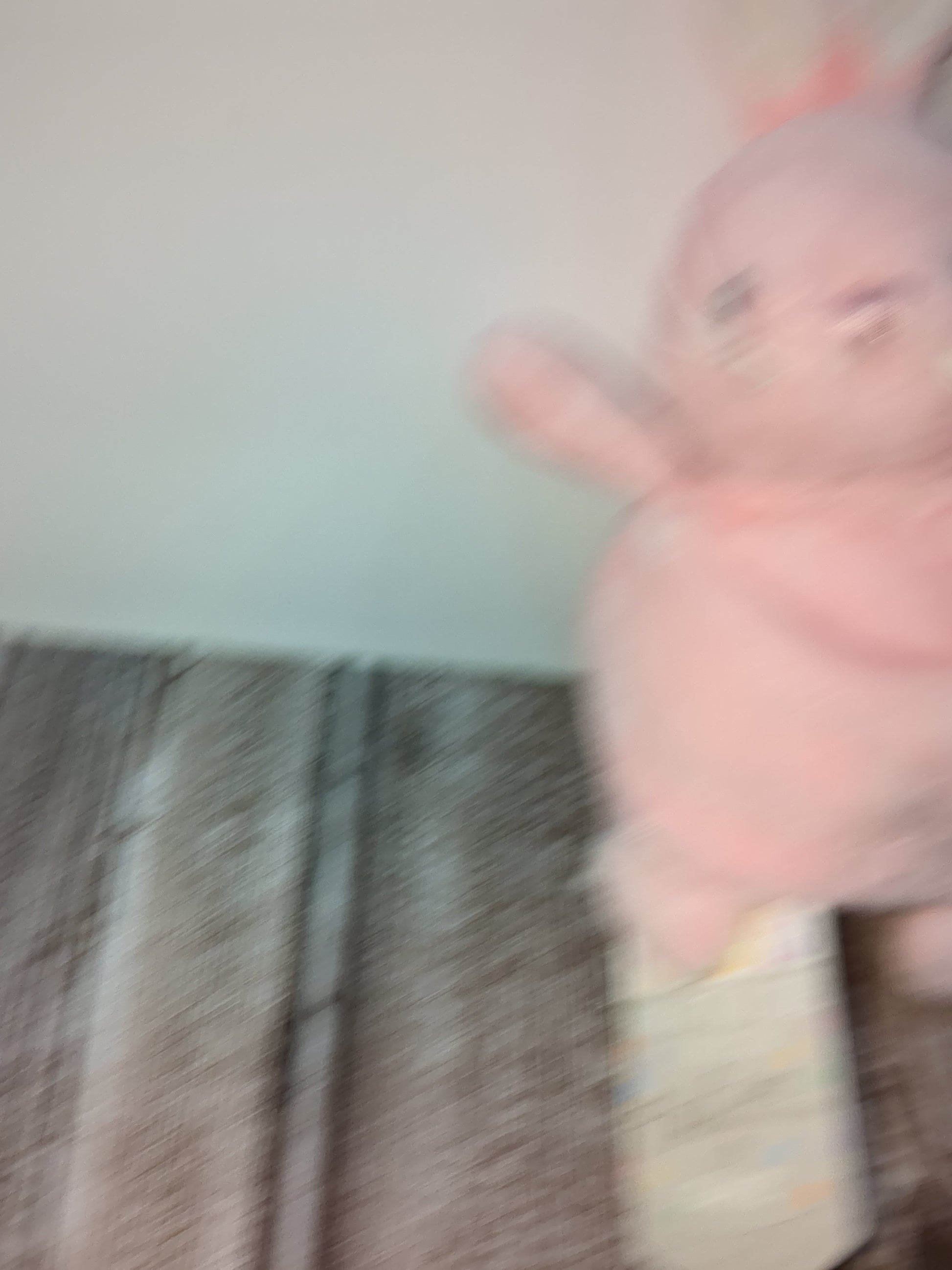 Flipsides Plushy Inside Out Bunny and Sheep Baby Gift Bb1