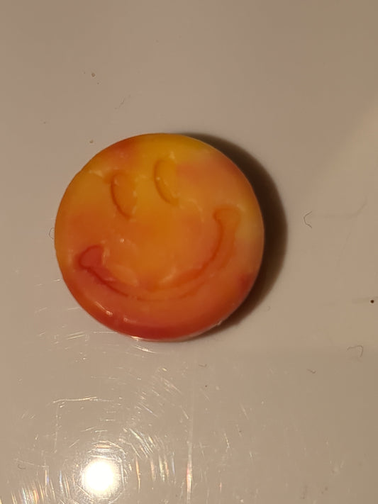 WM25a Citrus Burst parasoy Wax melts 1 oz