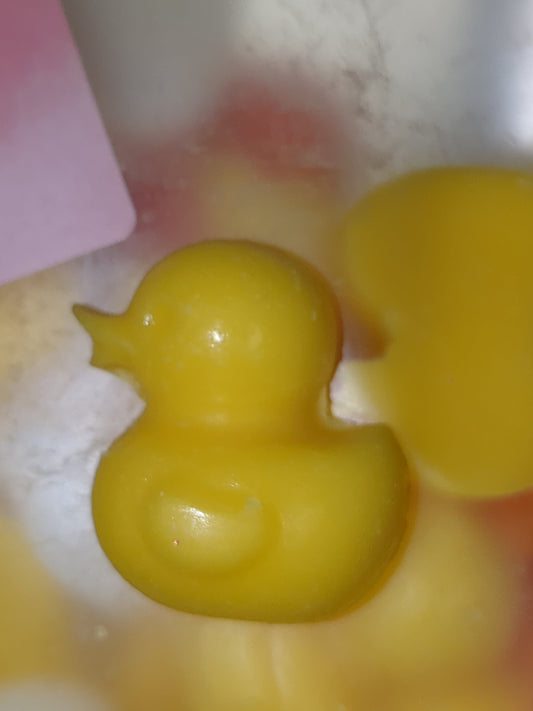 WM26a Duckies Wax Melts 1 oz