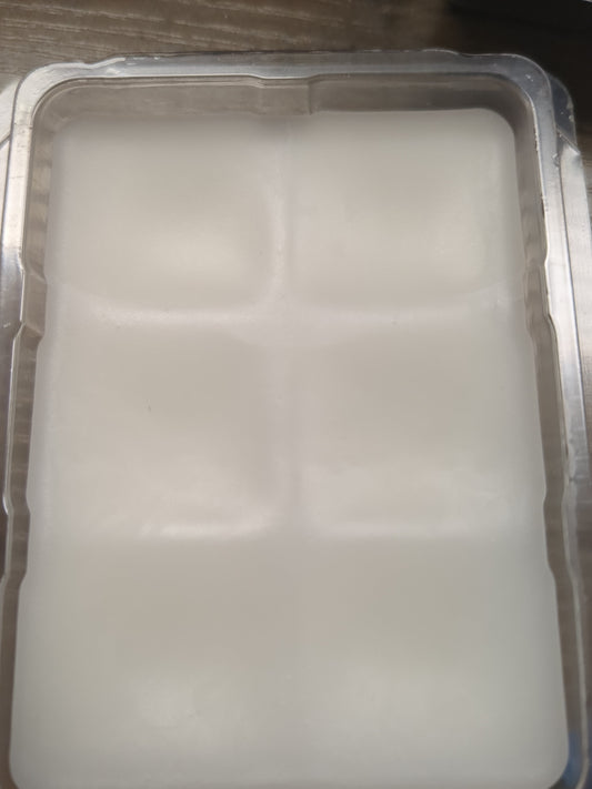 WM108 Explicit language see description for scent. 2oz wax melt