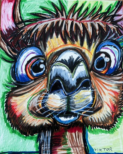 Alpaca - Art Prints