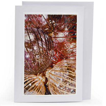 Blank Christmas Greeting Card | Multiple Designs | KJ Made
