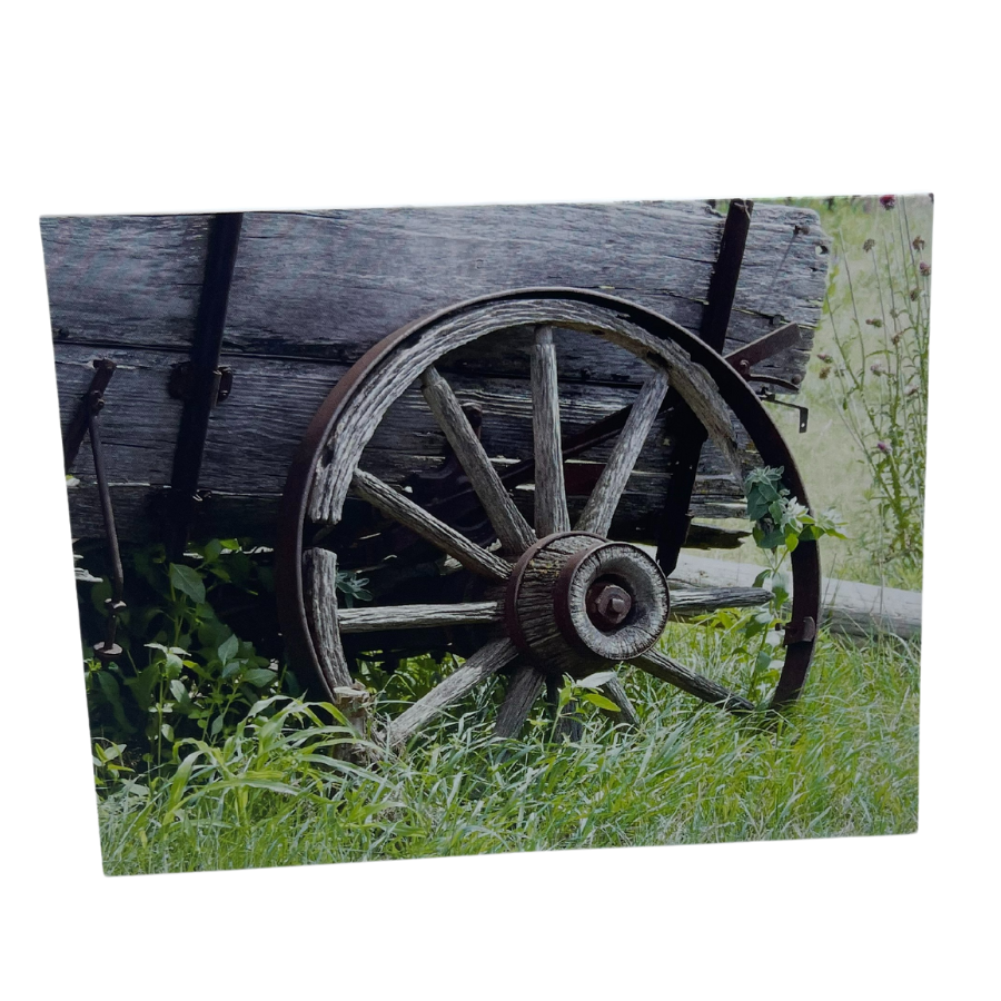 Single Pack Greeting Card | Mutliple Designs | Kenn Stobbe