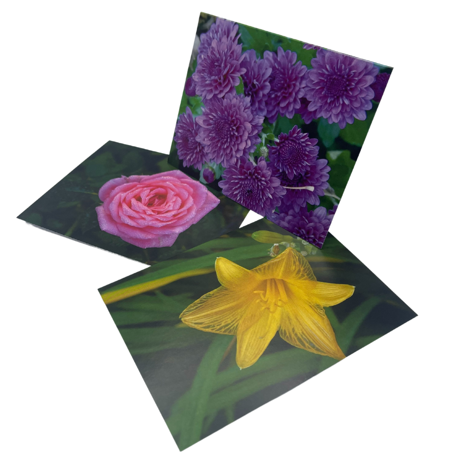 Variety Pack Postcard | Kenn Stobbe