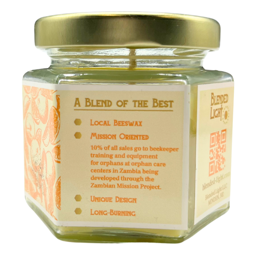 Freeze Squeezed Oranges Scented Candle | Multiple Sizes | Blended Light