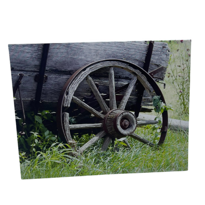 Single Pack Greeting Card | Mutliple Designs | Kenn Stobbe