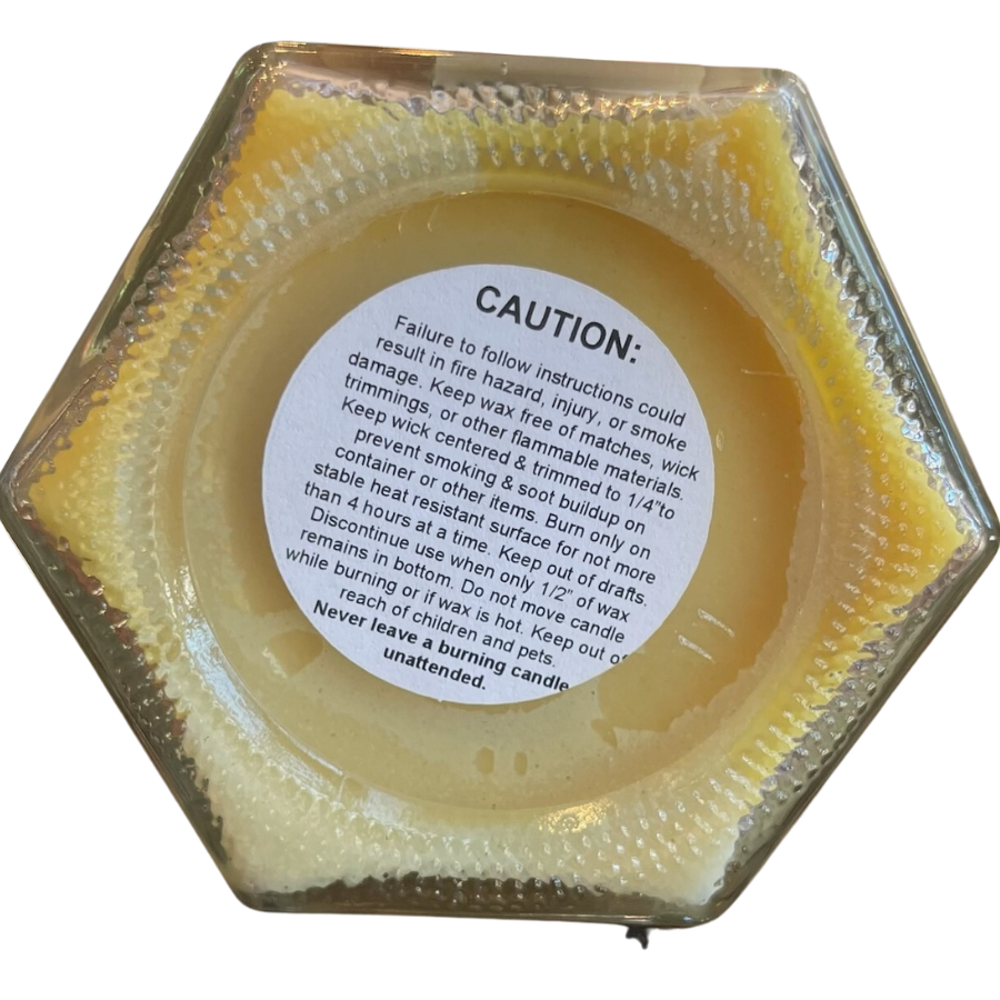 Aspen Winter Scented Candle | Multiple Sizes | Blended Light