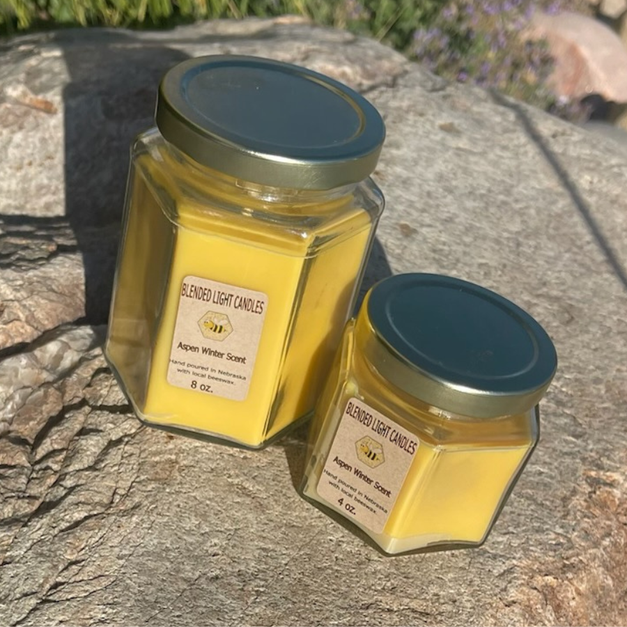 Aspen Winter Scented Candle | Multiple Sizes | Blended Light