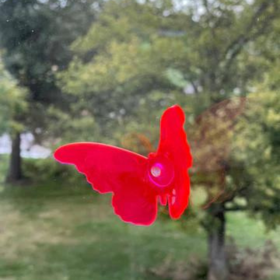 Suncatcher Butterfly | Multiple Colors | Glowing Creation