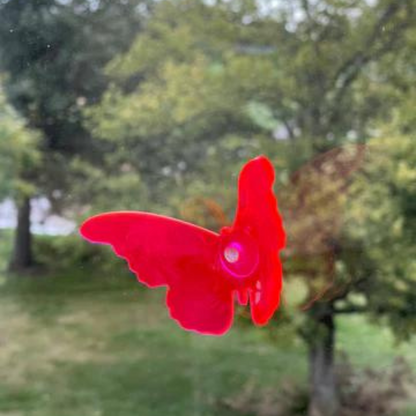Suncatcher Butterfly | Multiple Colors | Glowing Creation