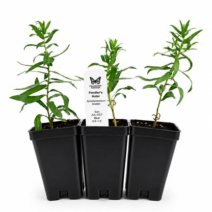 Front Yard Friendly Live Plant Landscape Kit | Prairie Legacy Inc.