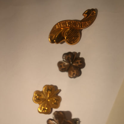 Vintage 4-H Recognition Pins Nebraska 4H