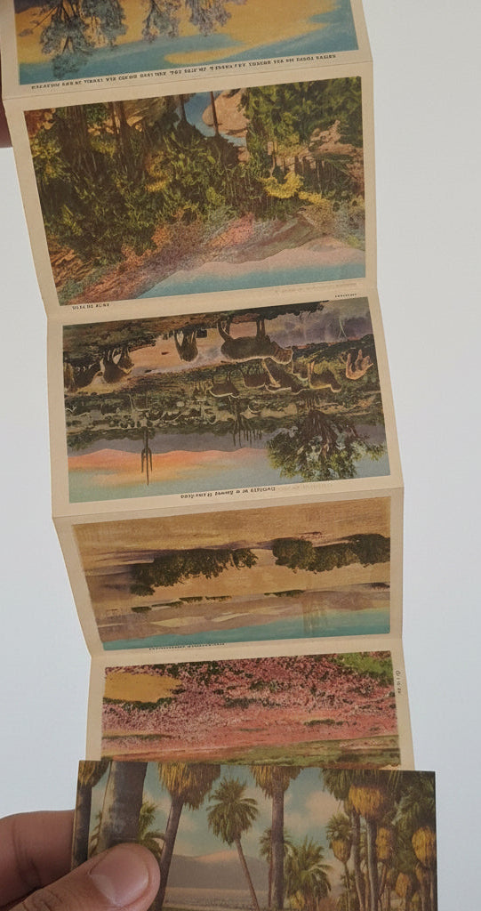 Vintage Desert Scenes of California Folding Postcard Wallet