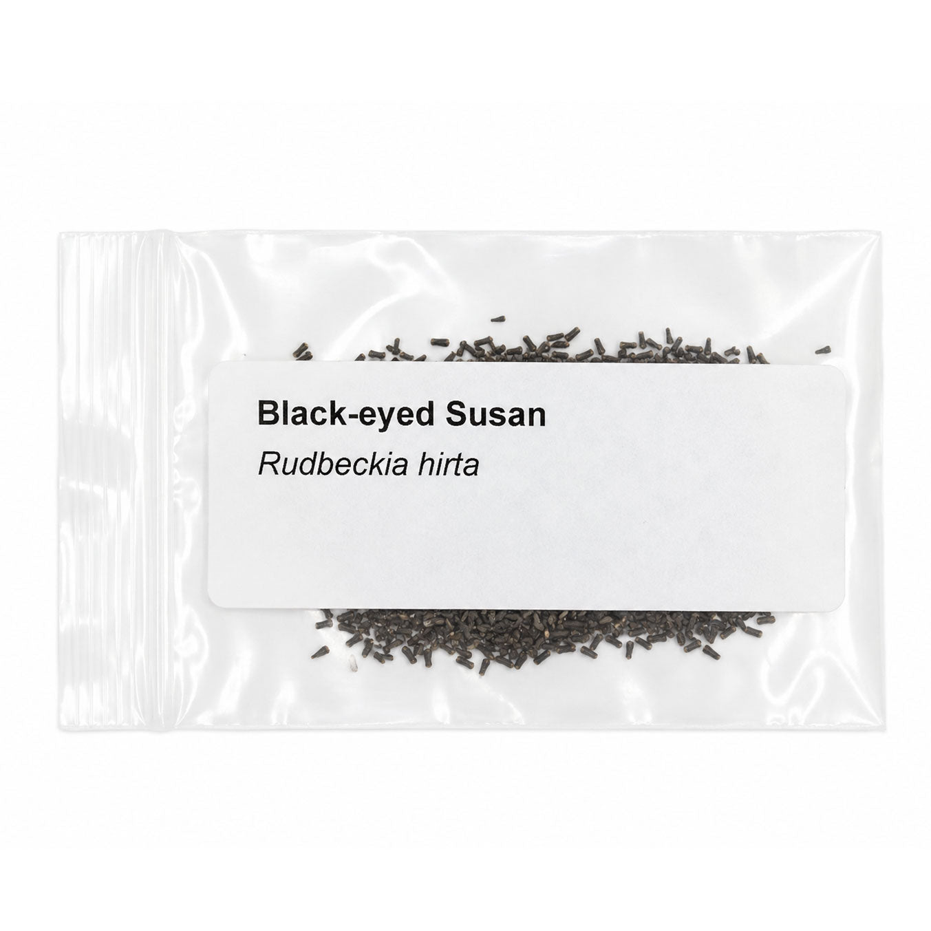 Mini Native Short Salt & Clay Seed Mix | Prairie Legacy Inc.