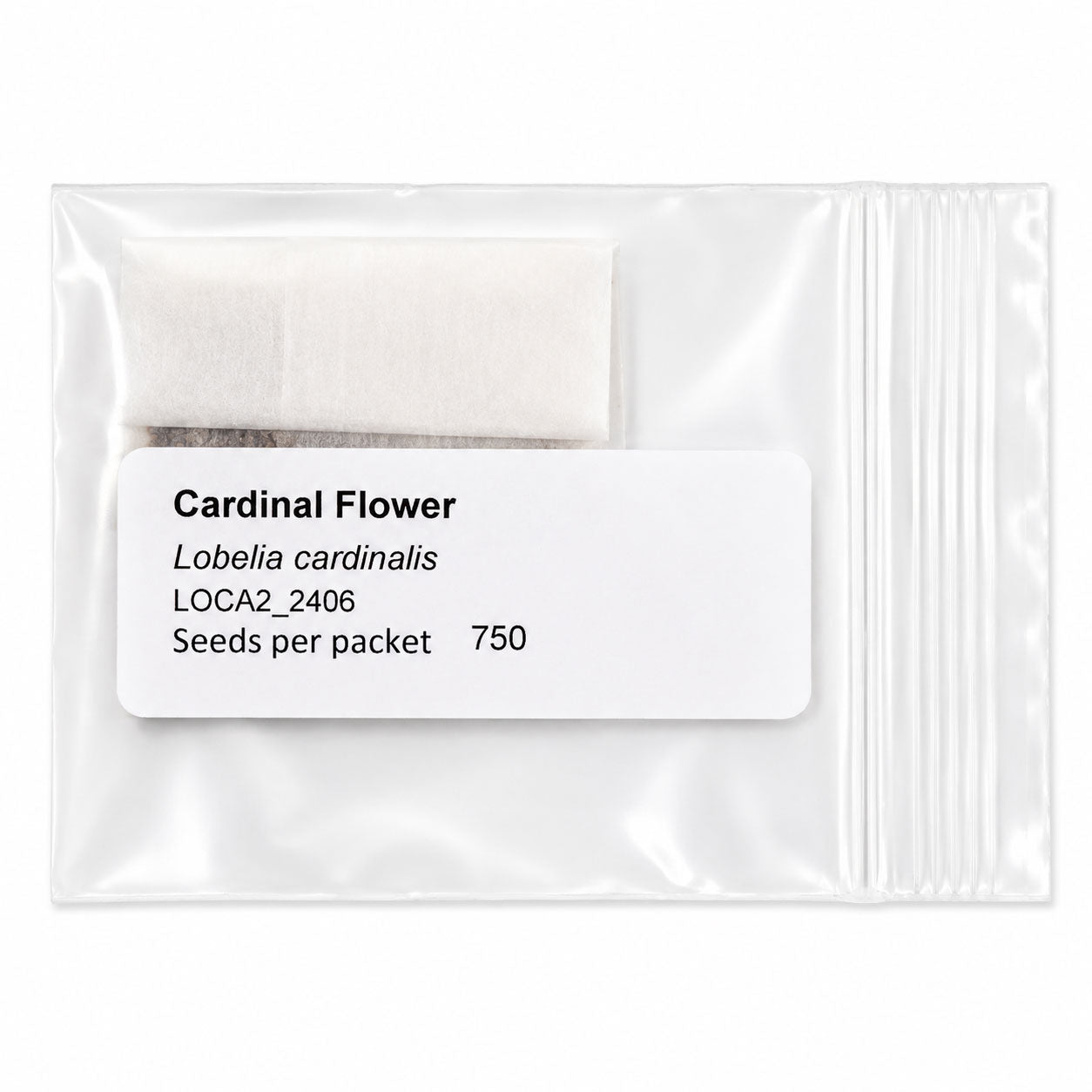 Mini Native Tall Hummingbird Seed Mix | Prairie Legacy Inc.