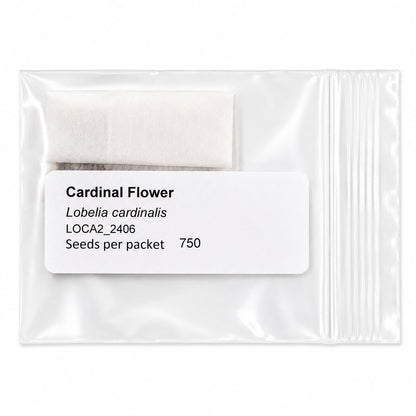 Mini Native Tall Hummingbird Seed Mix | Prairie Legacy Inc.