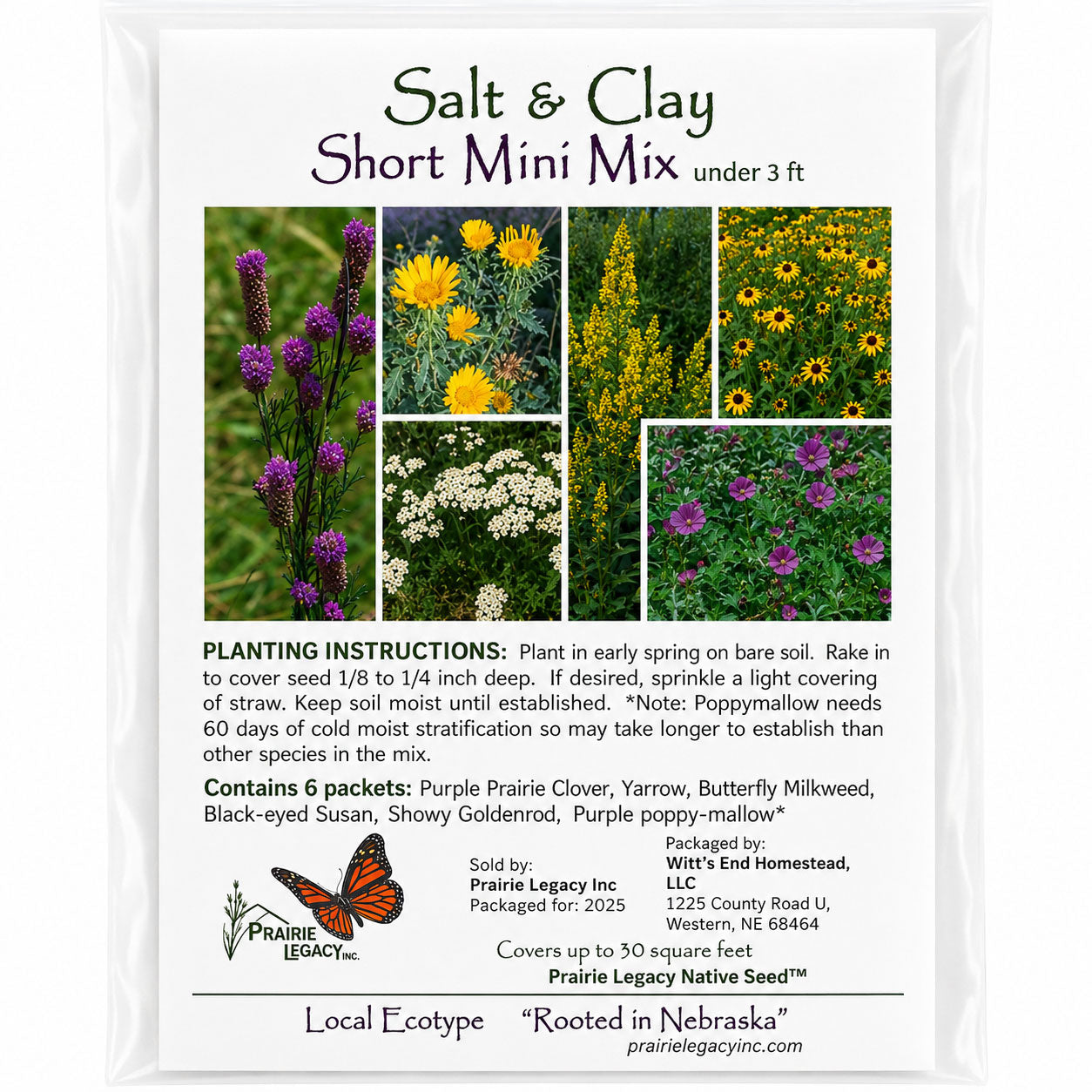 Mini Native Short Salt & Clay Seed Mix | Prairie Legacy Inc.