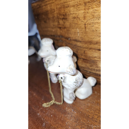 Vintage Poodles Joined by Chain