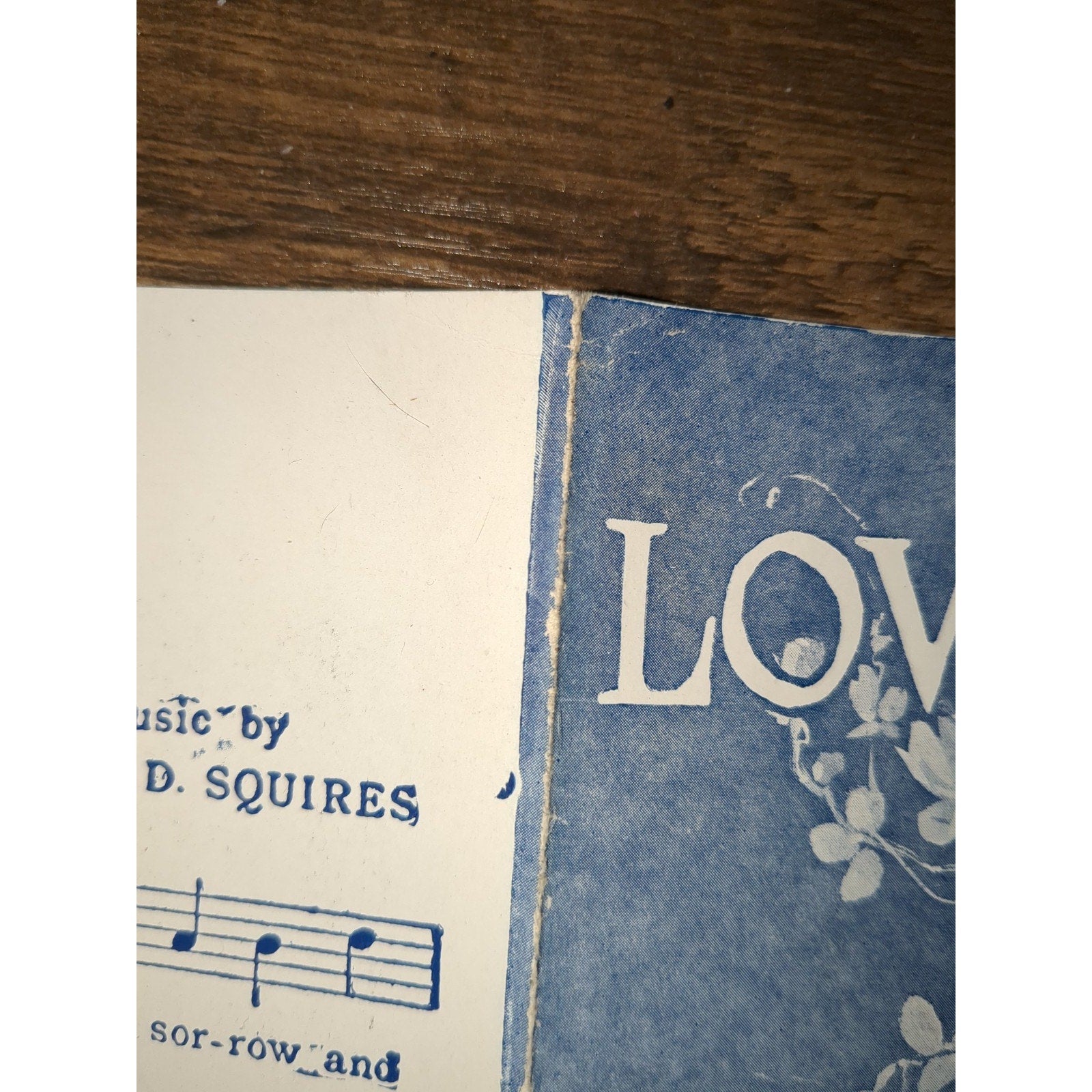 When It's Love Time In Picardy 1919 WWI Pretty Girl Vintage Sheet Music