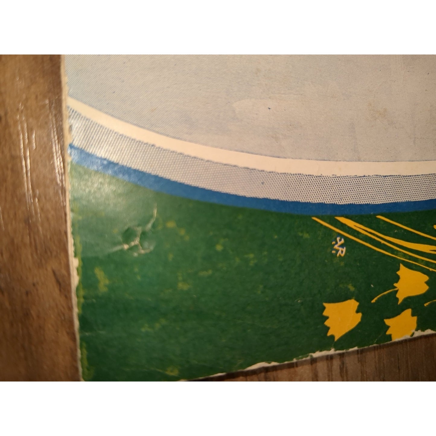 1926 That's Why I Love You Vtg Sheet Music Fox Trot Ballad W Donaldson Paul Ash