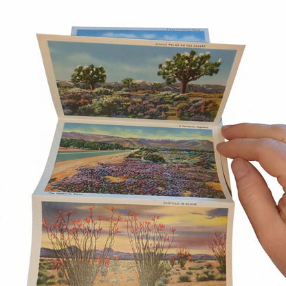 Vintage Desert Scenes of California Folding Postcard Wallet