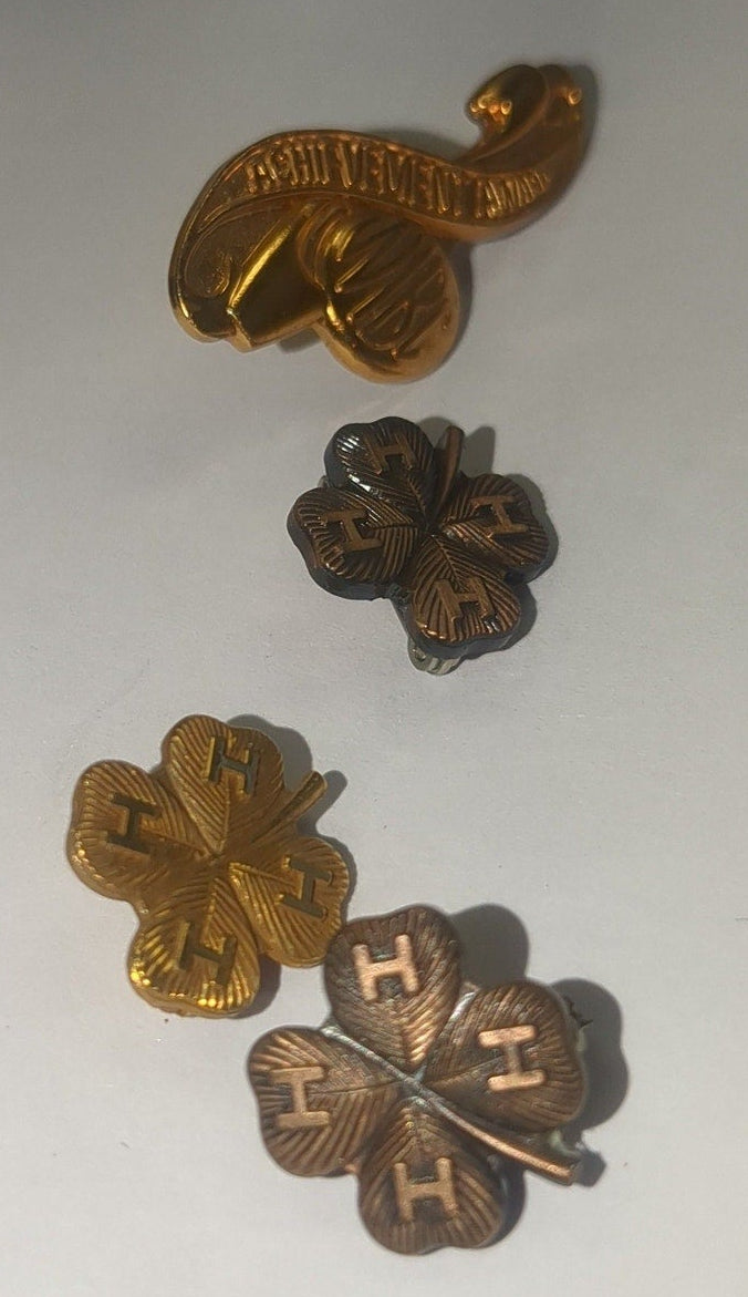 Vintage 4-H Recognition Pins Nebraska 4H