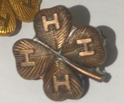 Vintage 4-H Recognition Pins Nebraska 4H