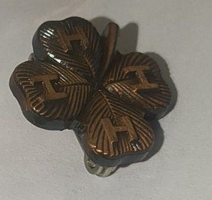 Vintage 4-H Recognition Pins Nebraska 4H