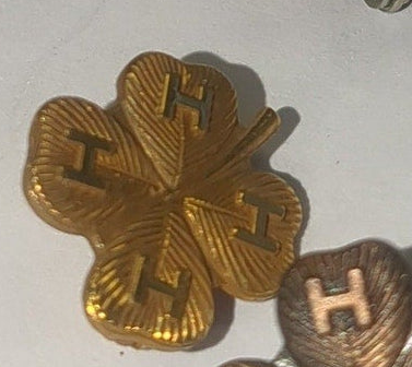 Vintage 4-H Recognition Pins Nebraska 4H