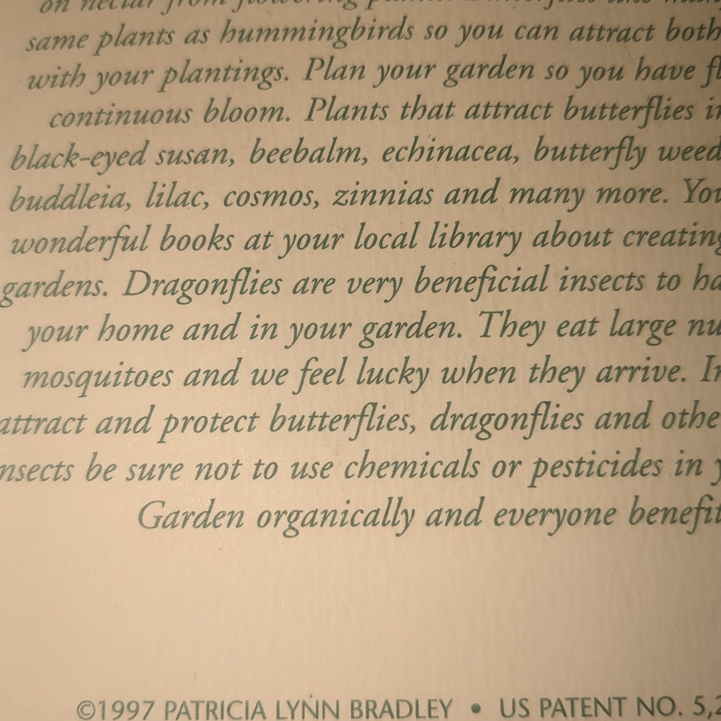 Vintage Butterfly and Dragonfly Cookie Cutter Patricia Lynn Bradley PB2