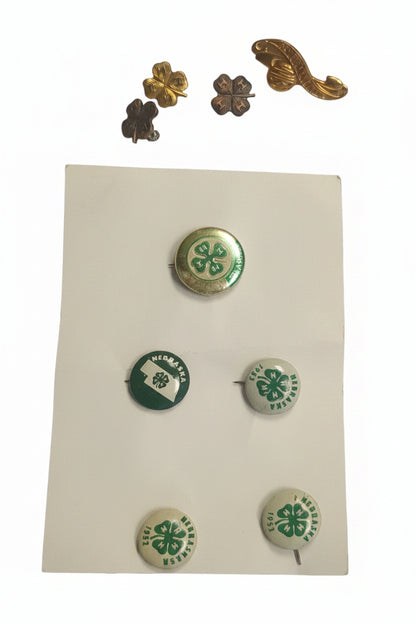 Vintage 4-H Recognition Pins Nebraska 4H