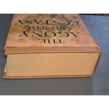 Vintage The Agony & The Ecstasy: A Novel of Michelangelo Irving Stone 1961 BCE