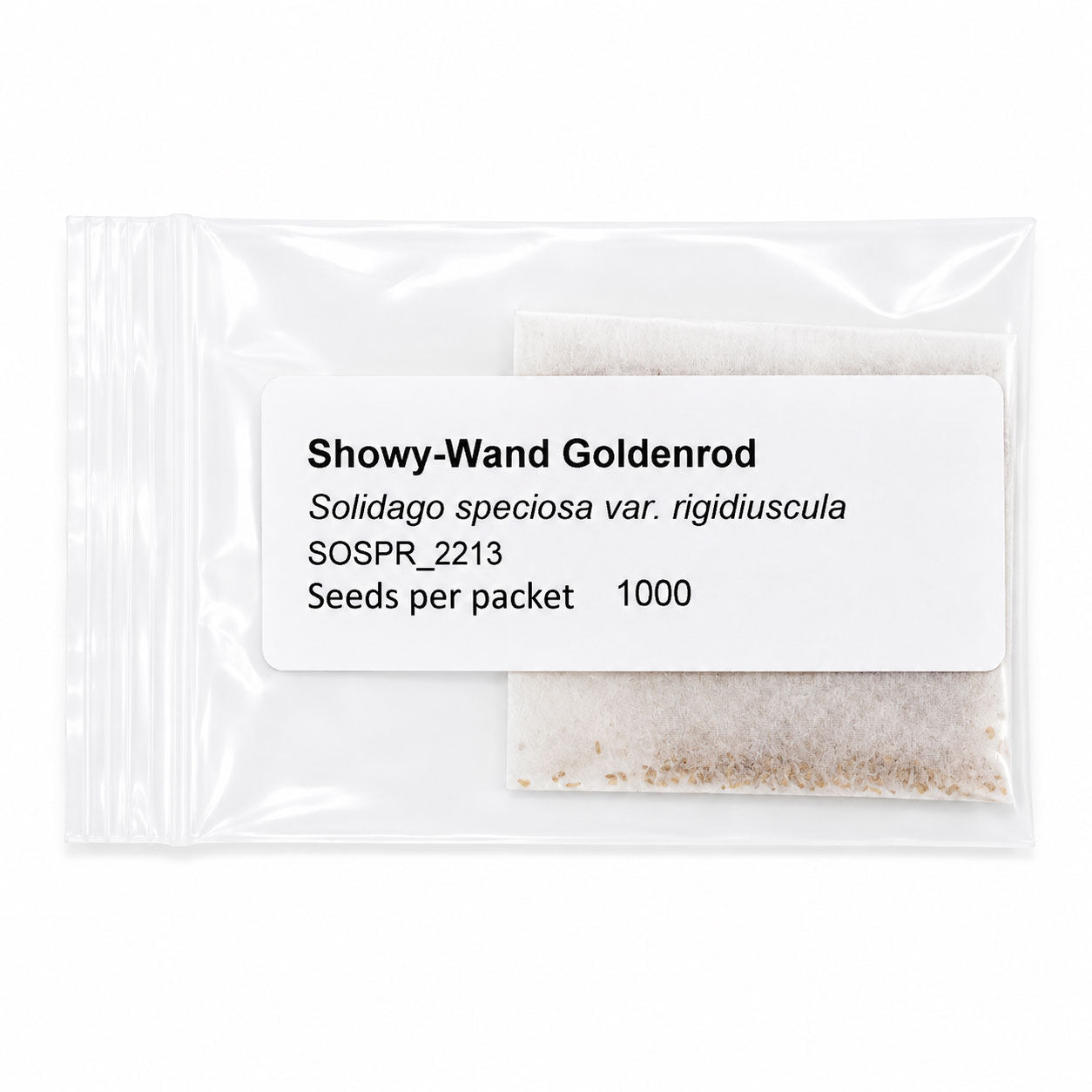 Mini Native Short Pollinator Patch Seed Mix | Prairie Legacy Inc.