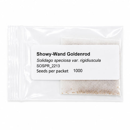 Mini Native Short Pollinator Patch Seed Mix | Prairie Legacy Inc.
