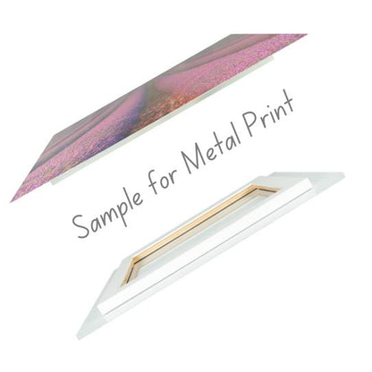 Mugzy - Art Prints
