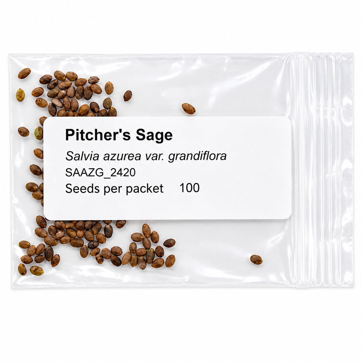 Mini Native Tall Bird Lovers Seed Mix | Prairie Legacy Inc.