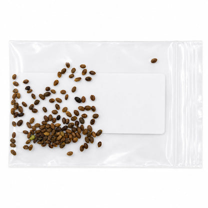 Mini Native Tall Bird Lovers Seed Mix | Prairie Legacy Inc.