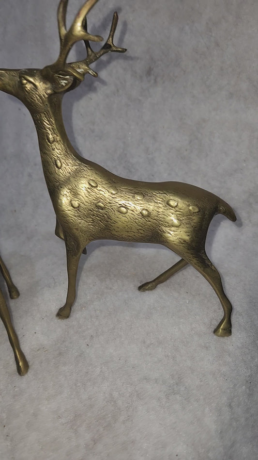 Vintage Solid Brass Doe and 8 Point Prancing Buck Korea br150