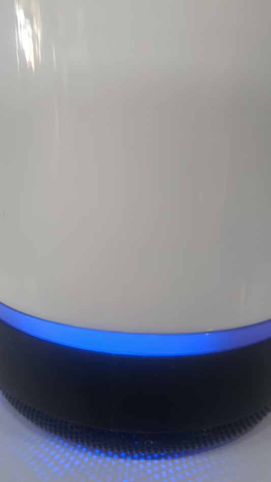 30 oz tumbler with handle and black speaker