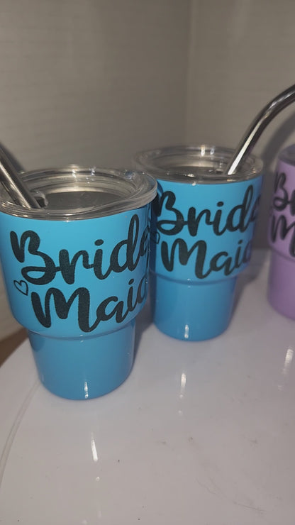 Shot Glass 3 oz Stainless Steel or Mini Tumbler Set of 7 with Lids and Straws Read Description