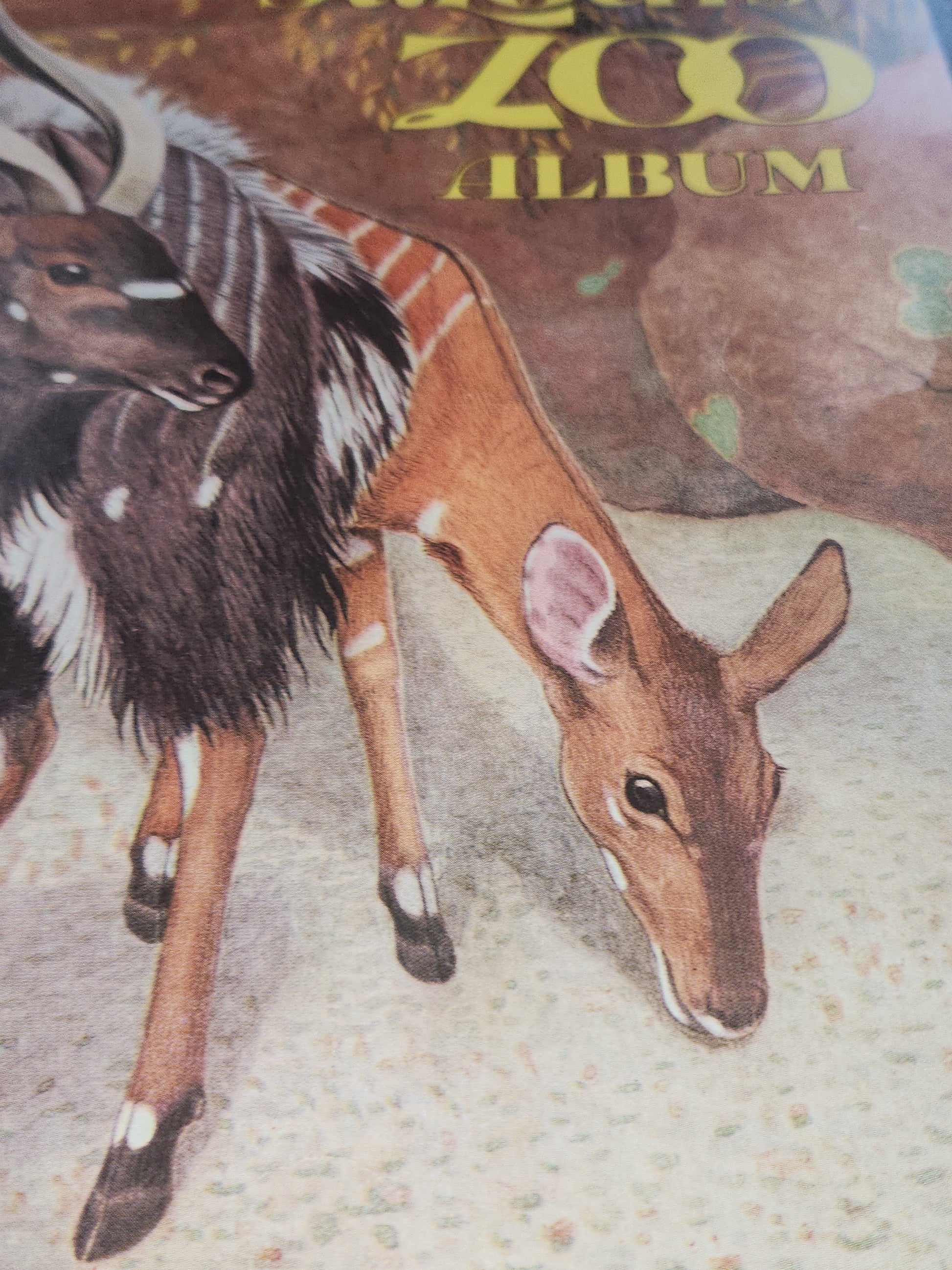 Vintage St. Louis Zoo Album Souvenir Animal Photos and Information, Map 1950 bk98