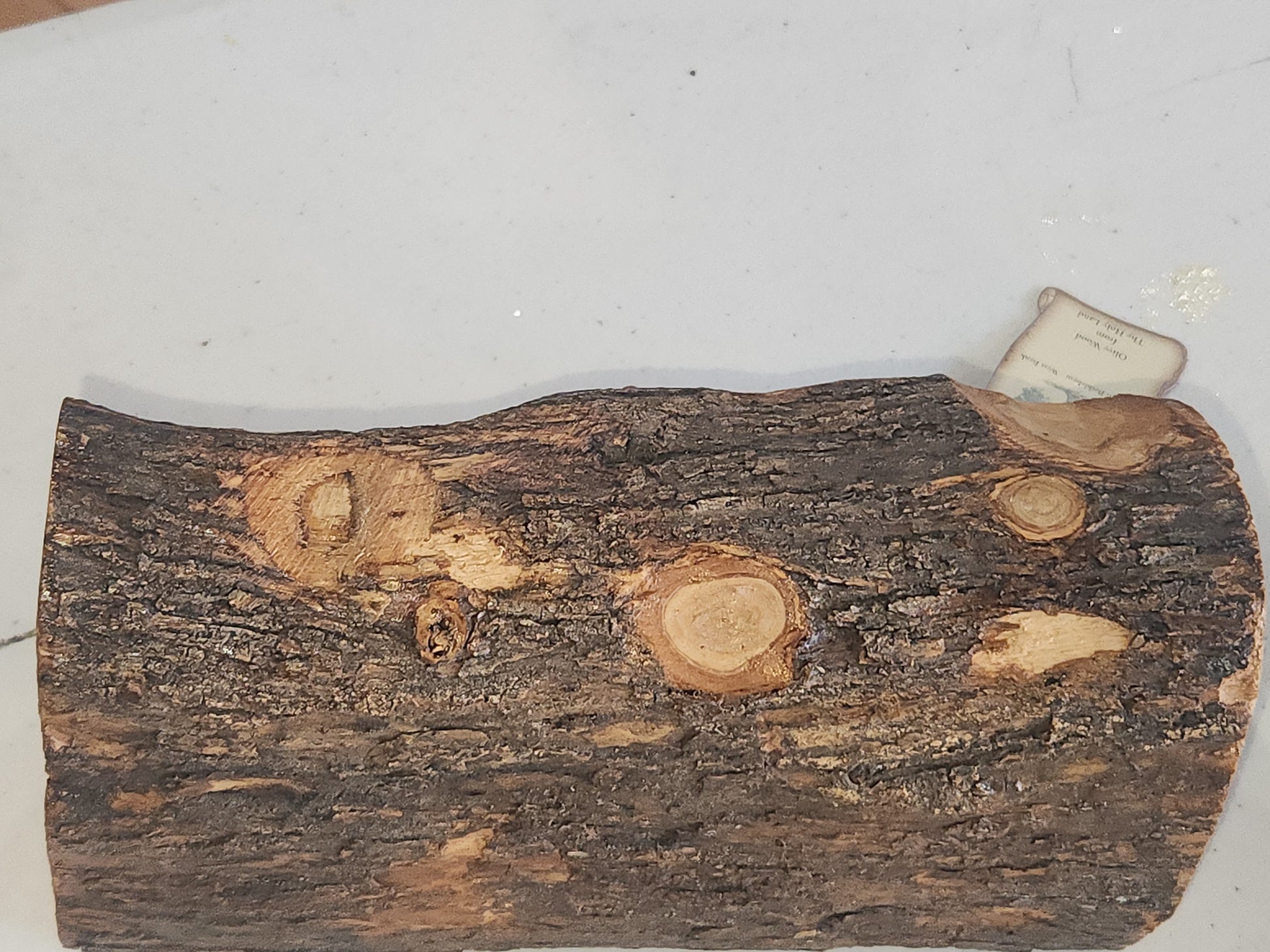 Nativity Medium Grotto Carved in Olive Wood Branch Made in Bethlehem 4" x 8" n2b