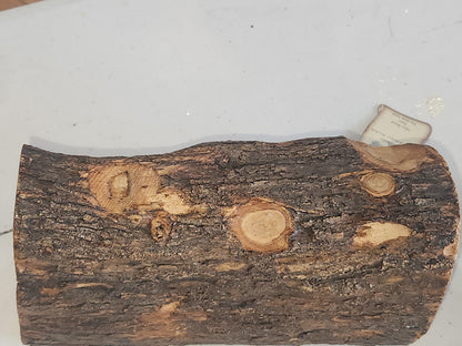 Nativity Medium Grotto Carved in Olive Wood Branch Made in Bethlehem 4" x 8" n2b