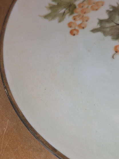 Porcelain Hand-Painted 7" Plate G7