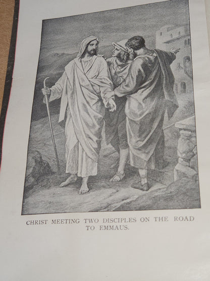 Vintage Hardcover Holy Bible National Bible Press vb99