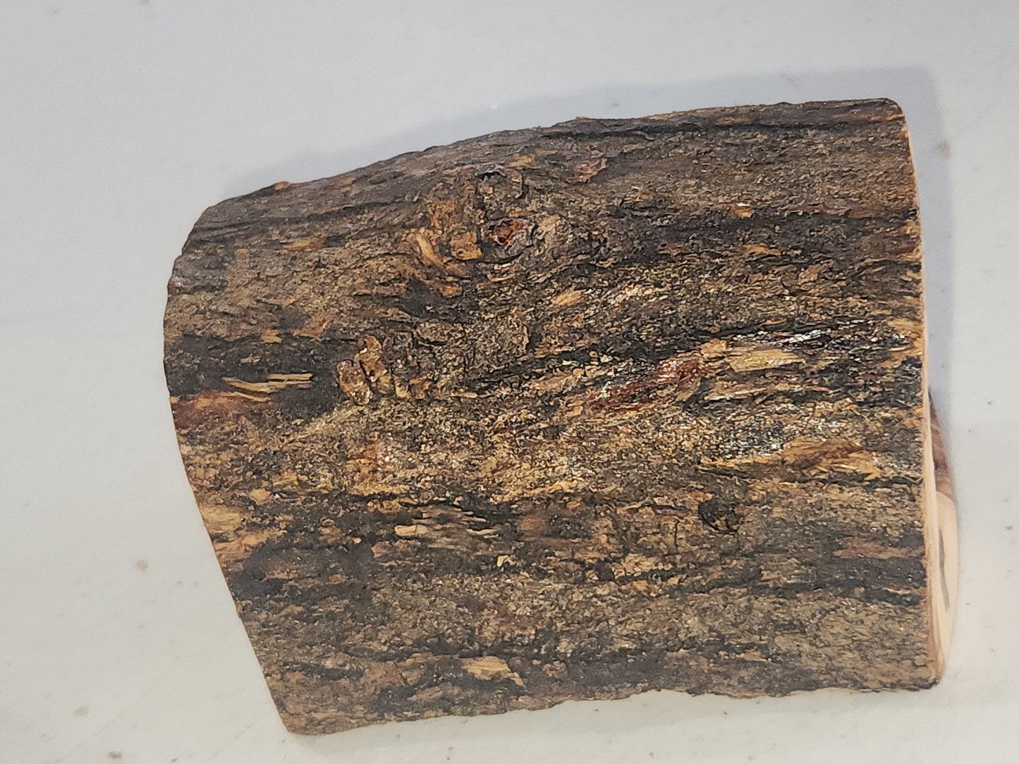 Small Grotto nativity carved in olive wood Branch - 3"x5" n3