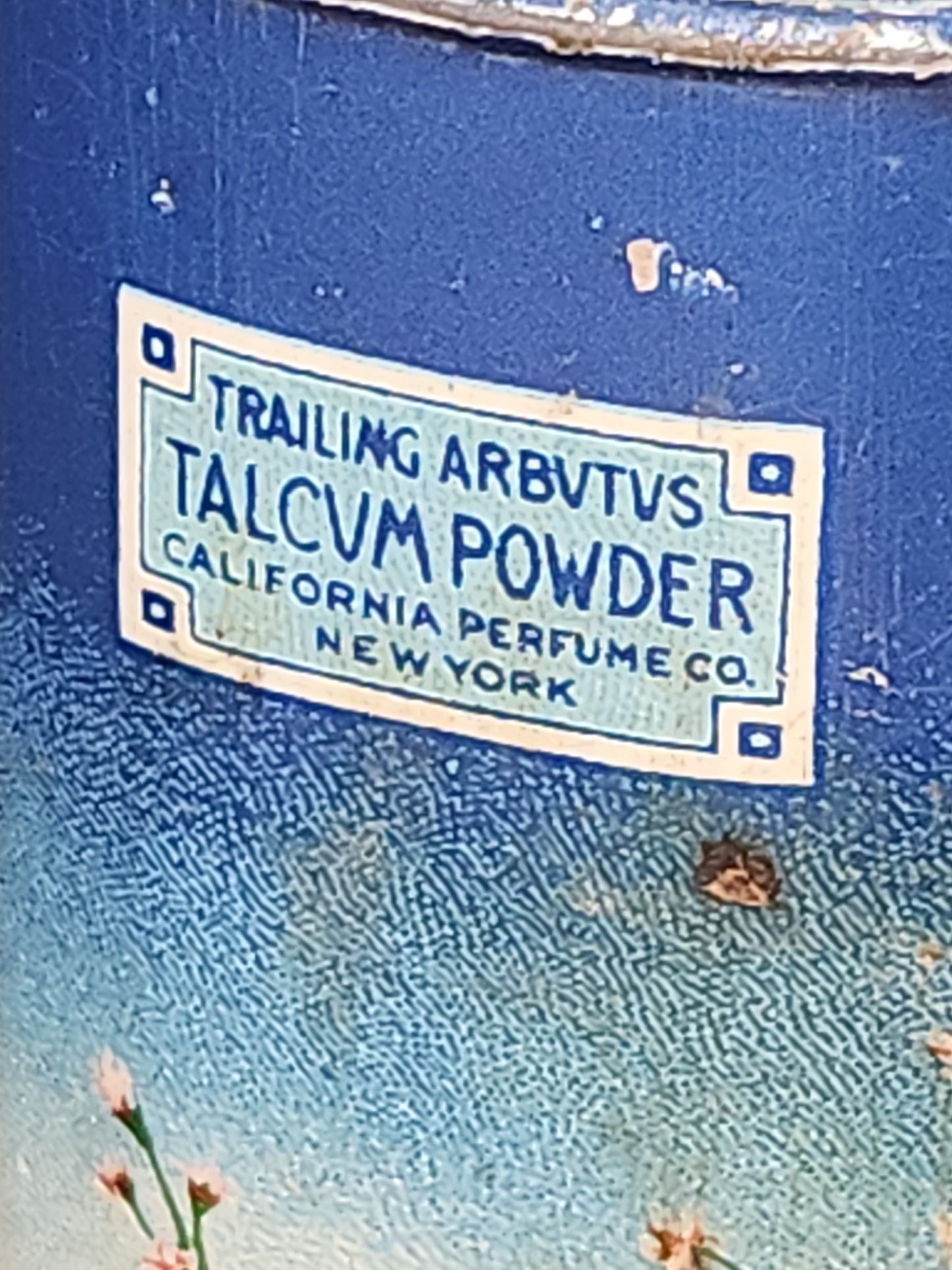 Vintage California Purgume Company Trailing Arbutus Talcum Powder Sample Jack and Jill Jungle Jinks set 1920-30s AS IS tin012