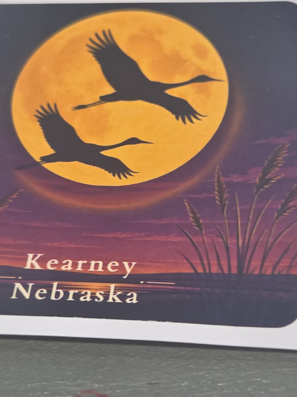 Nebraska Stickers 3" Kearney Nebraska Sandhill Cranes