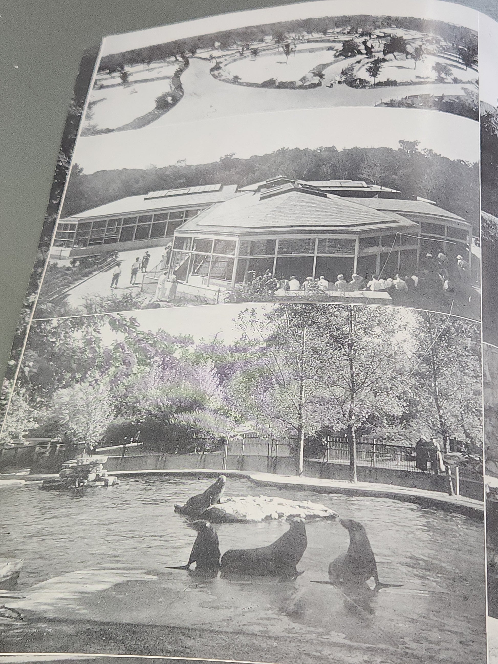 Vintage St. Louis Zoo Album Souvenir Animal Photos and Information, Map 1950 bk98