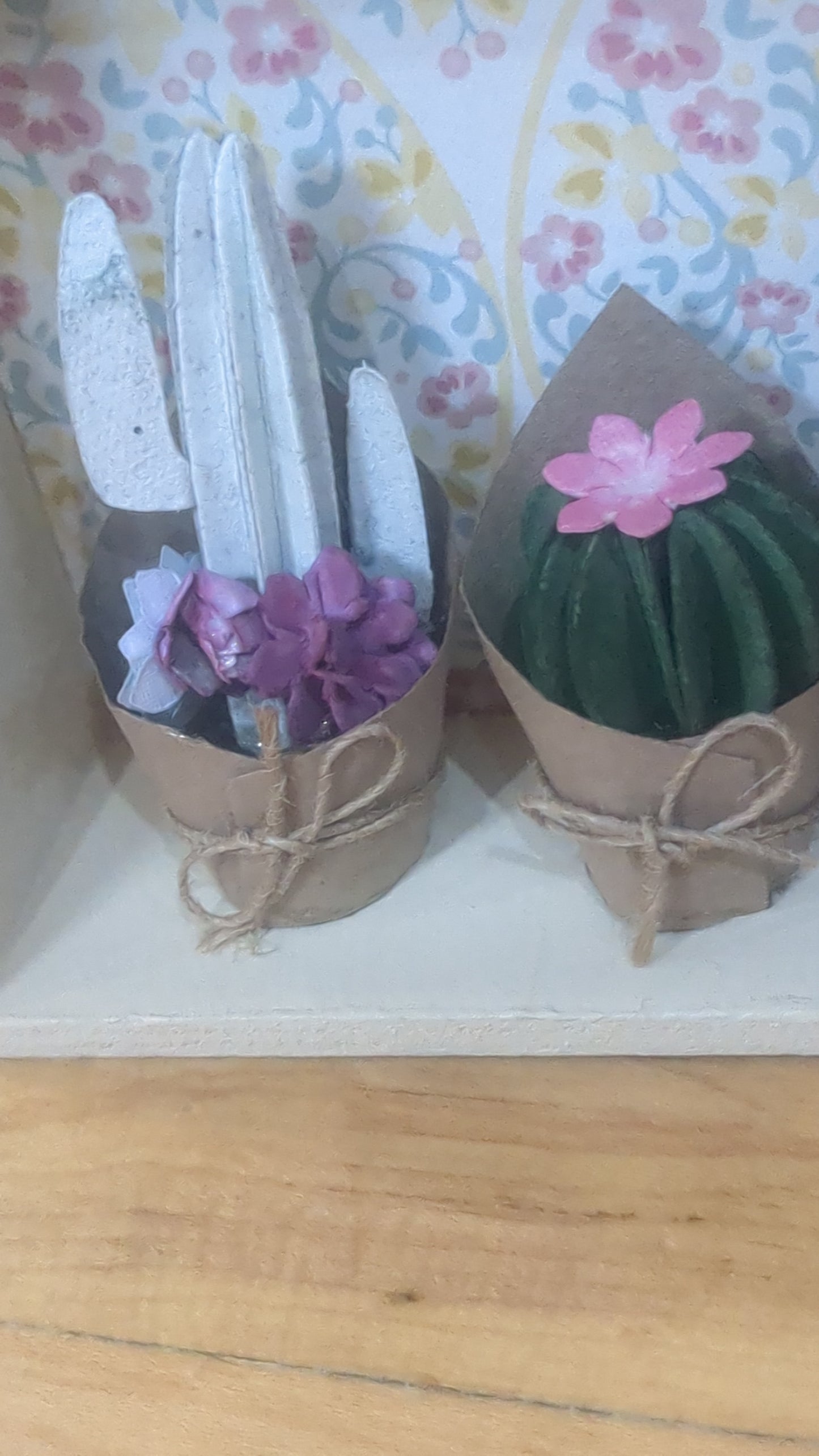 Cactus shadow box double sided unique one of a kind sb8